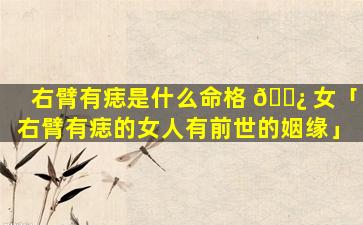 右臂有痣是什么命格 🌿 女「右臂有痣的女人有前世的姻缘」